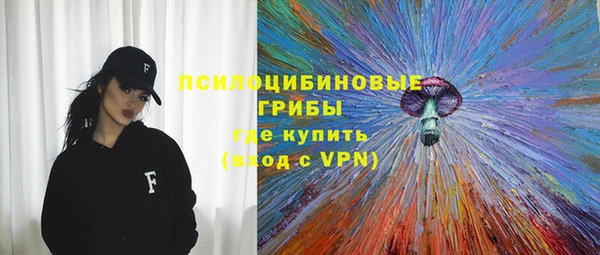 гидропоника Алзамай