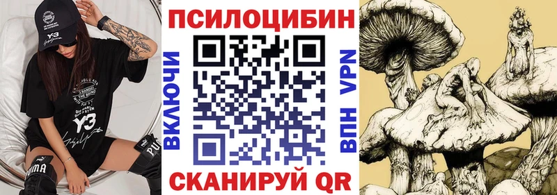 Галлюциногенные грибы Psilocybe  цены наркотик  кракен зеркало  Искитим 